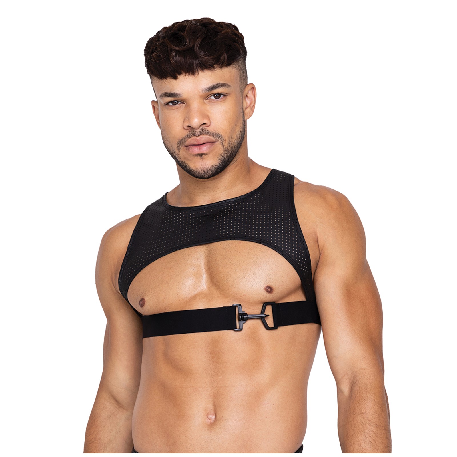 Master Harness with Hook and Ring Closure Black Medium