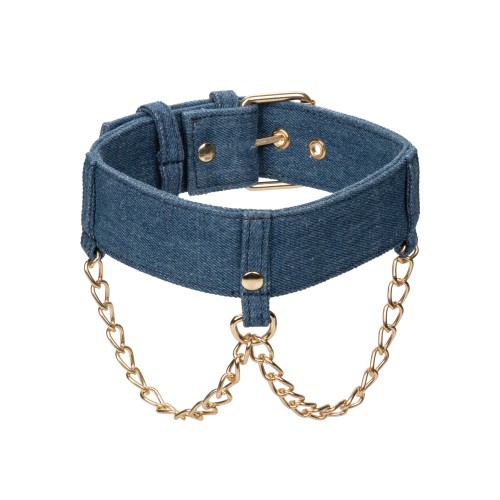 Ride 'Em Premium Denim Collection Collar with Leash