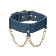 Ride 'Em Premium Denim Collection Collar with Leash