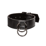 Euphoria Collection Collar with Chain Leash