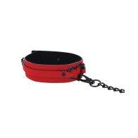 Amor Collar and Leash for Sensual Pleasure