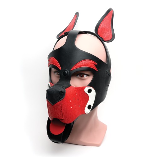 Capucha de Cachorro Juguetón 665 Negro Rojo Blanco