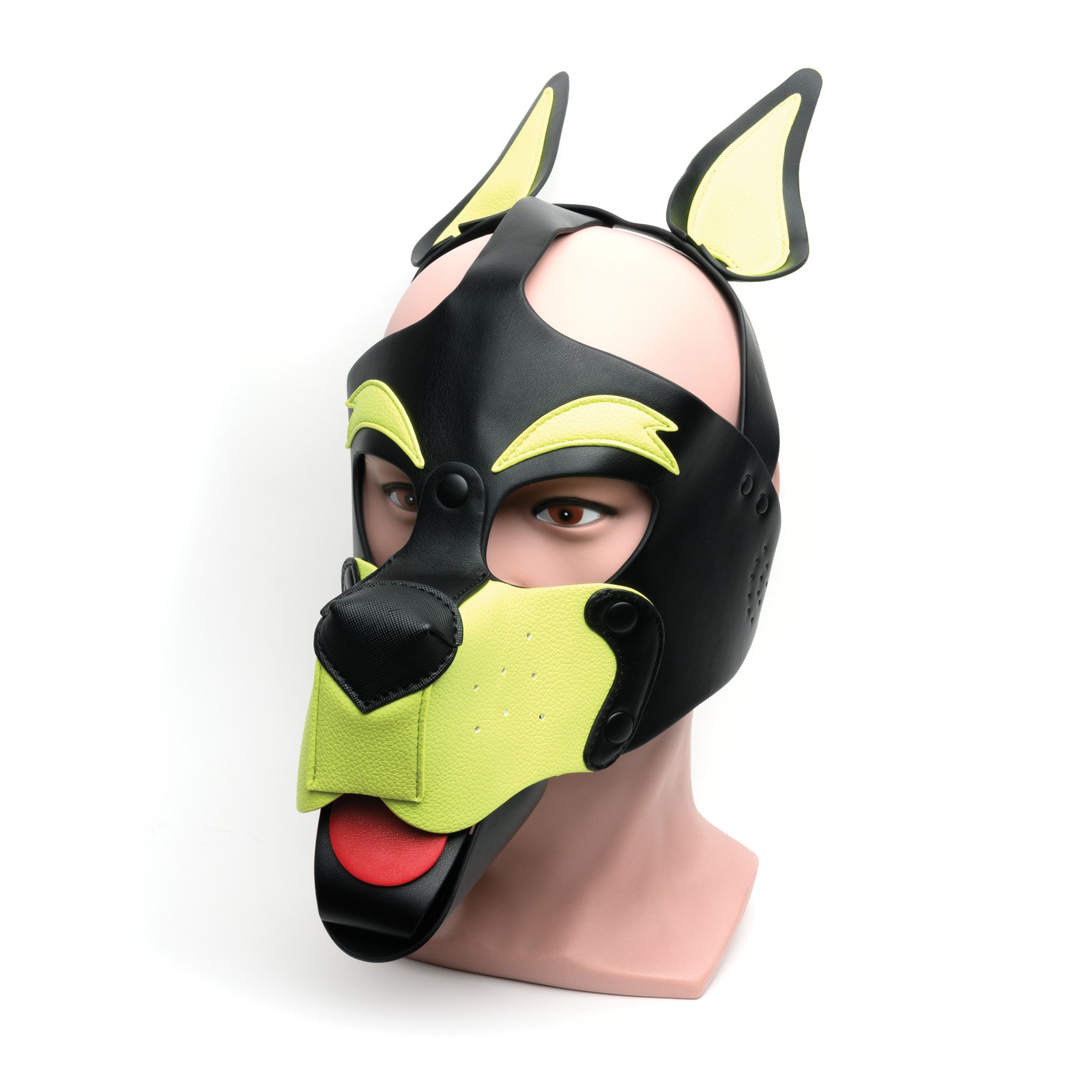 665 Playful Pup Hood - O/S Black/Yellow