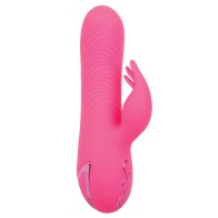 Vibrador Sacramento Sweetie de California Dreaming para el Éxtasis Máximo