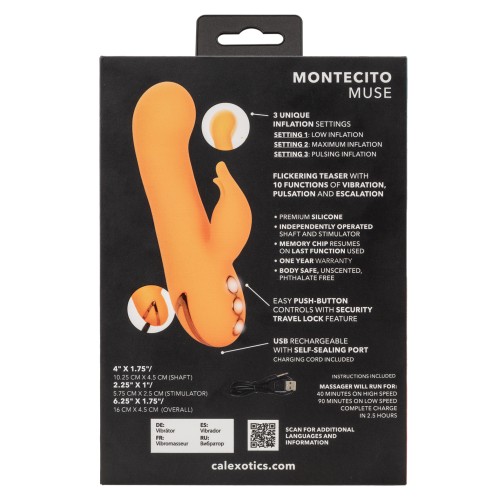 Vibrador Montecito Muse de California Dreaming