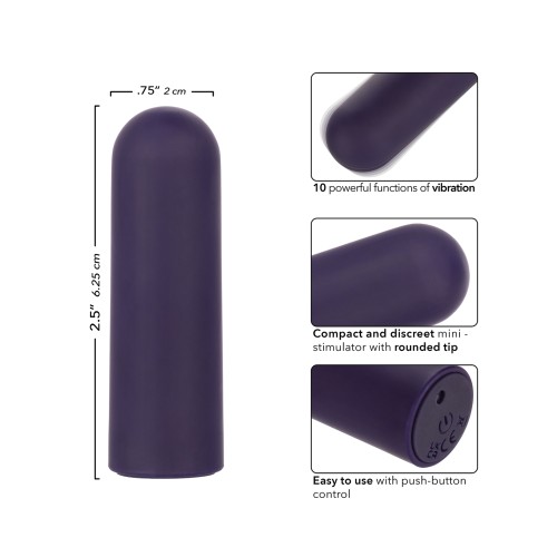 Turbo Buzz Rounded Mini Bullet Stimulator in Purple - Intense Pleasure