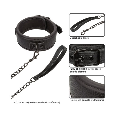 Nocturnal Collection Collar & Leash Black