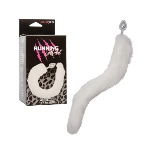 Running Wild Metallic Anal Probe with Tail for Sensory Play