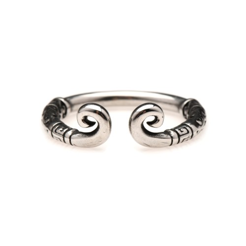 Anillo Glans de Acero Inoxidable Kingpin - 24mm