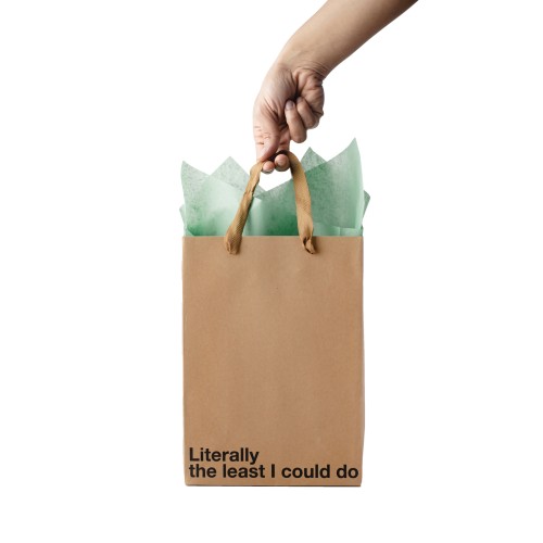 Literally The Least I Could Do Gift Bag Pack of 3 - Snarky Touch