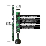 Stoner Vibes Glow in the Dark Ball Gag for Fun Bondage Play