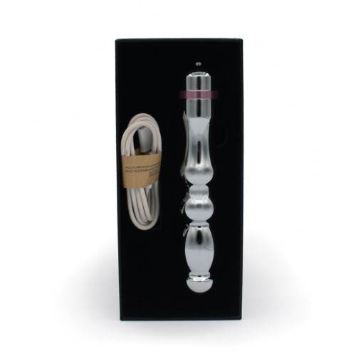 Vibrador Metal Hidden Treasure de Natalie's Toy Box