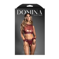 Domina Sheer Mesh Vegan Leather Set Burgundy