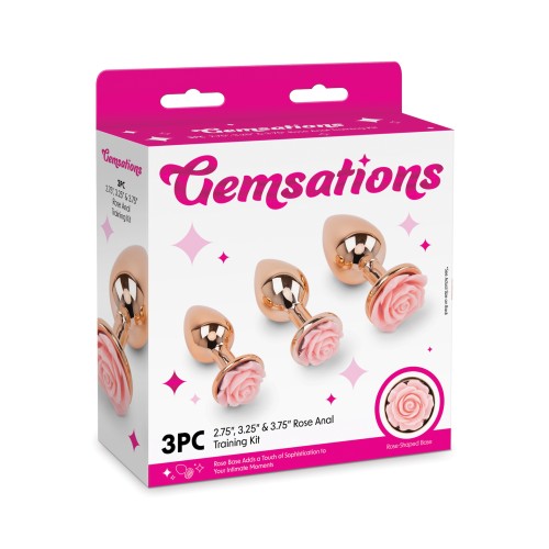 Gemsations Rose Gold Anal Training Set