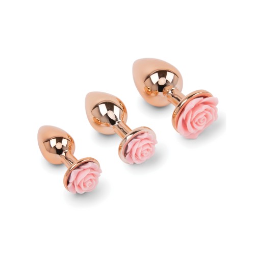 Gemsations Rose Gold Anal Training Set