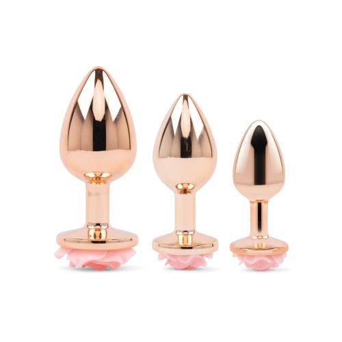 Gemsations Rose Gold Anal Training Set