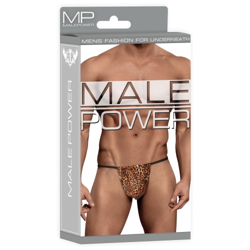 Male Power Posing Strap Thong Animal Print