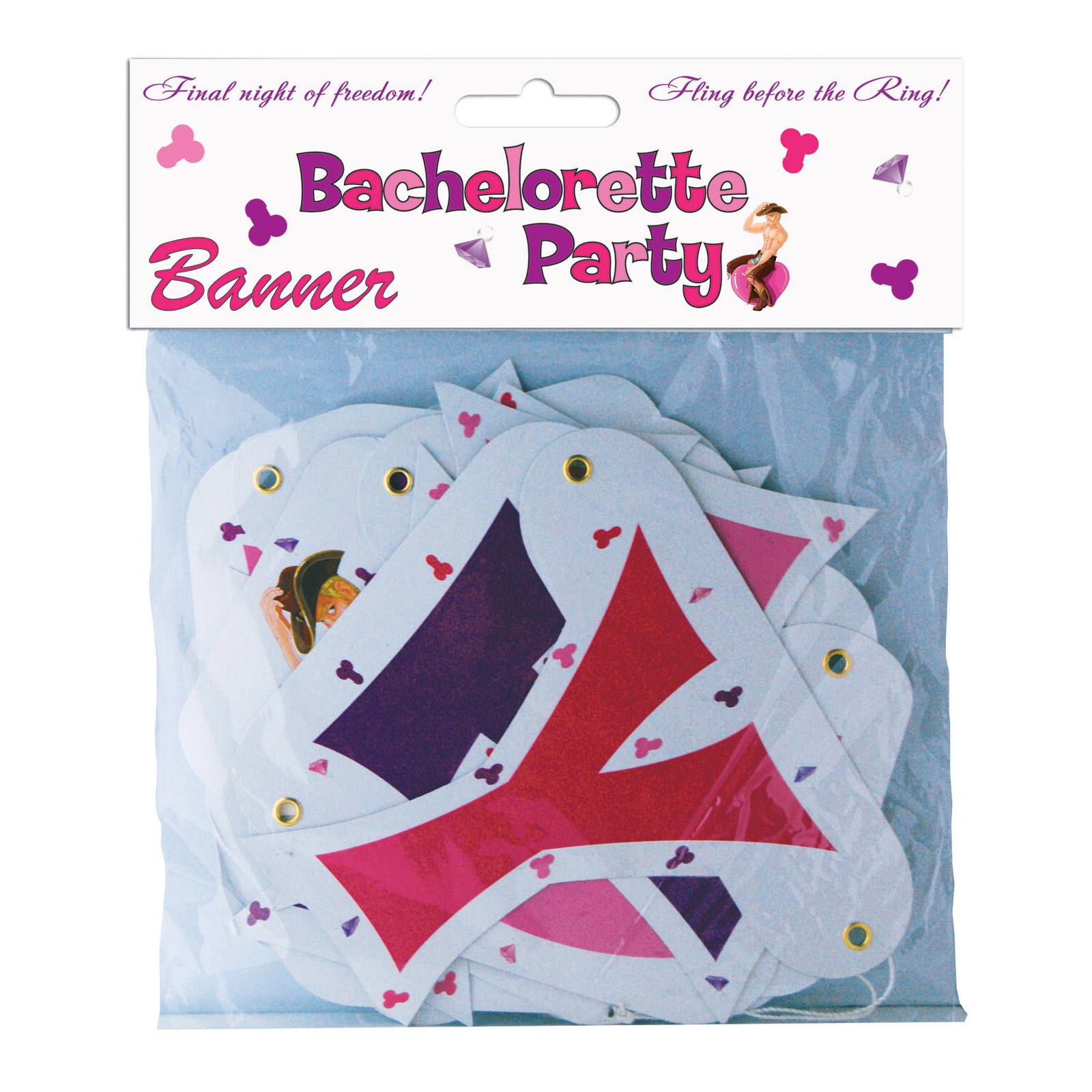 Bachelorette Party Letter Banner