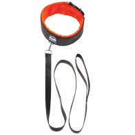 Short Leash with Orange Fur for Pets