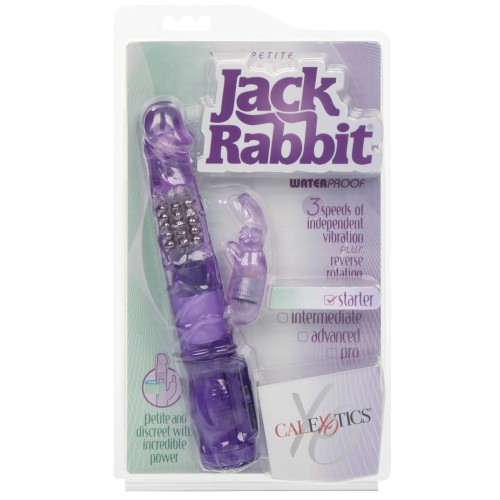 Petite Jack Rabbit Vibrator Purple