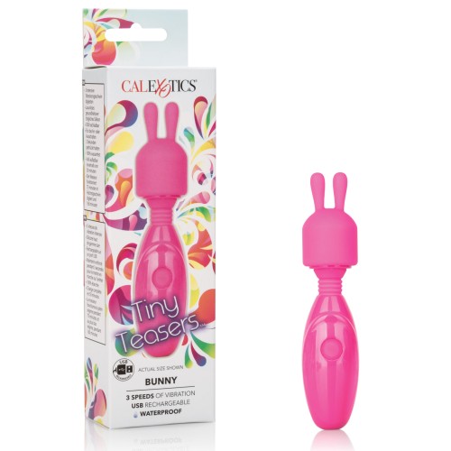 Tiny Teasers Bunny - Travel-Friendly Massager