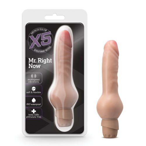 Vibrador Realista Blush X5 Mr Right Now