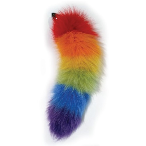 Rainbow Foxy Tail Butt Plug for Play