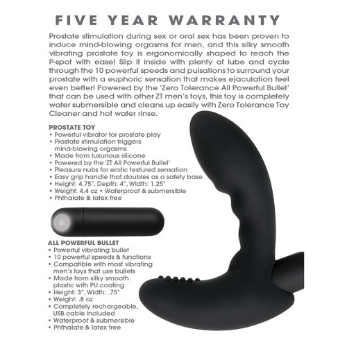 Zero Tolerance Eternal P Spot Massager