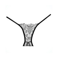 Adore Lace Enchanted Belle Panty for Elegance