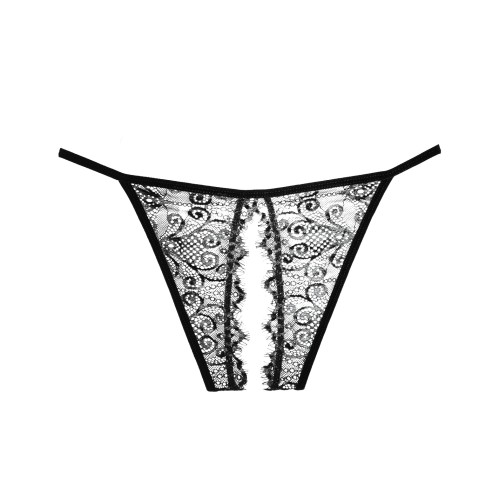 Adore Lace Enchanted Belle Panty for Elegance