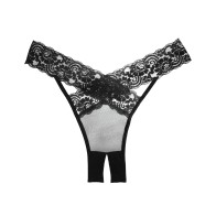 Adore Sheer & Lace Panty - Black