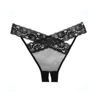 Adore Sheer & Lace Panty - Black