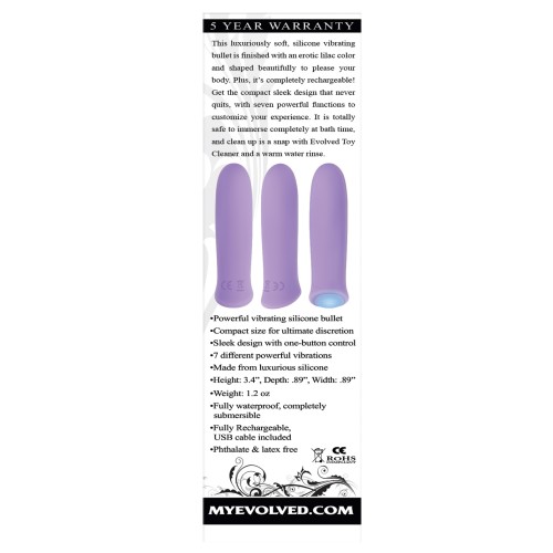 Vibrador Bullet Evolved Purple Haze Recargable - Púrpura