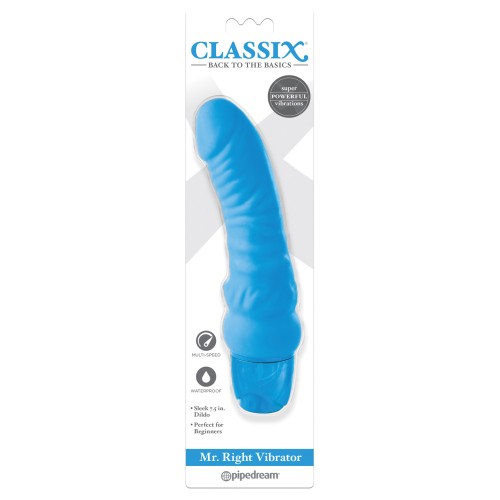 Classix Mr Right Vibrator in Blue