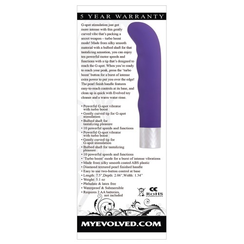 Evolved Spark Vibrador Púrpura para G-Spot - Compra Ahora