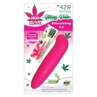 High Climax Mini Vibe Kit with Hemp Seed Oil - Pink