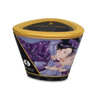 Shunga Exotic Fruits Massage Candle for Relaxation