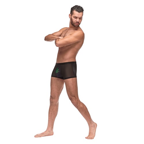 Private Screening Micro Mesh Shorts Black