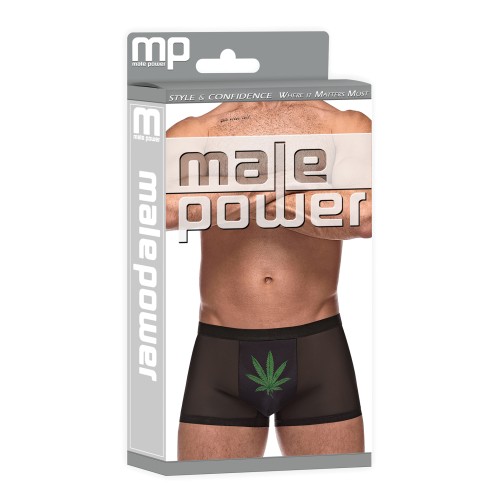 Private Screening Black Pot Leaf Pouch Shorts