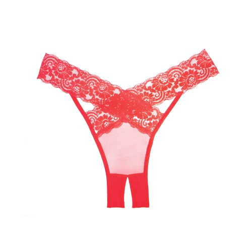 Panty Adore Deseo de Encaje y Transparente - Lencería Romántica