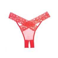 Panty Adore Deseo de Encaje y Transparente - Lencería Romántica