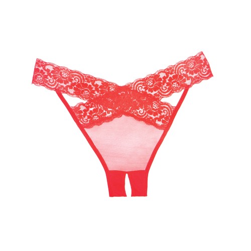 Panty Adore Deseo de Encaje y Transparente - Lencería Romántica