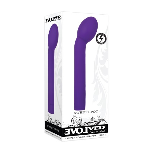 Evolved Sweet Spot G-Spot Vibrator - Purple