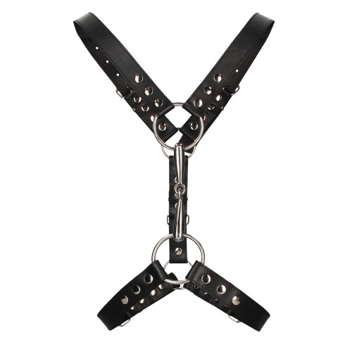 Shots Uomo Mens Harness with Metal Bit Black