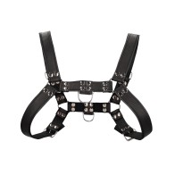 Chest Bulldog Harness Small/Medium - Black