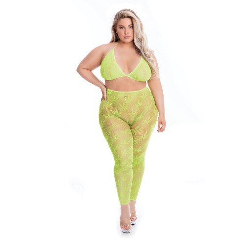 Pink Lipstick All About Leaf Bra & Leggings - Stylish Comfort