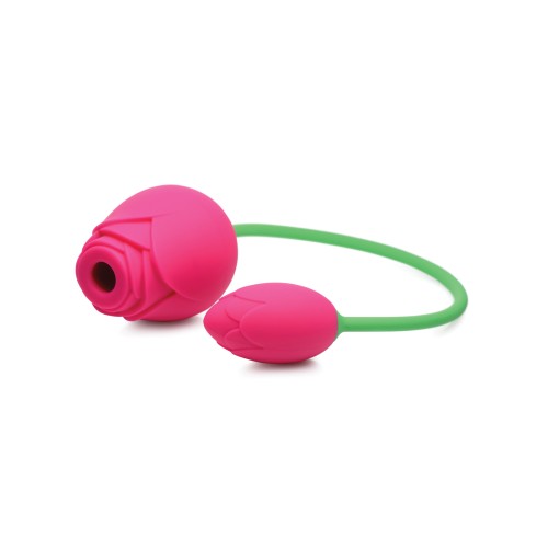 Inmi Bloomgasm 5X Suction Rose Duo Pink