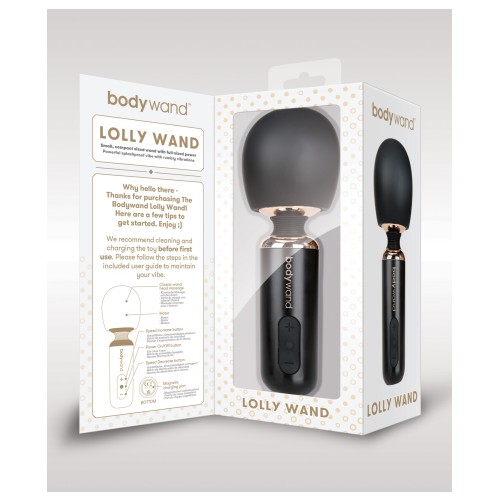 Bodywand Lolly Wand Powerful Vibrator