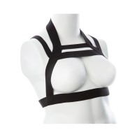 Gender Fluid Majesty Harness Black S-L