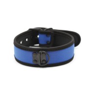 Plesur Neoprene Puppy Collar Blue